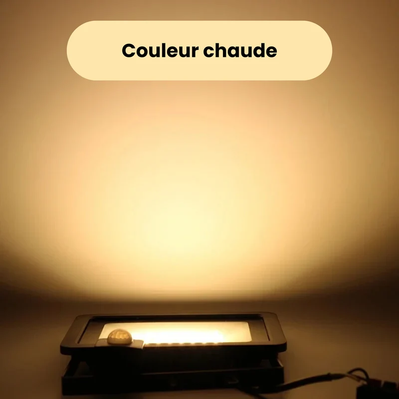 Projecteur LED extérieur avec détecteur PIR 30W 50W 100W