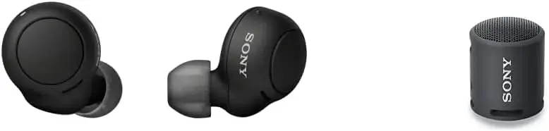 Sony WF-C500