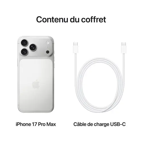 Apple iPhone 17 Pro Max 6,9" 5G Double SIM 2 To Argent 0195950640540