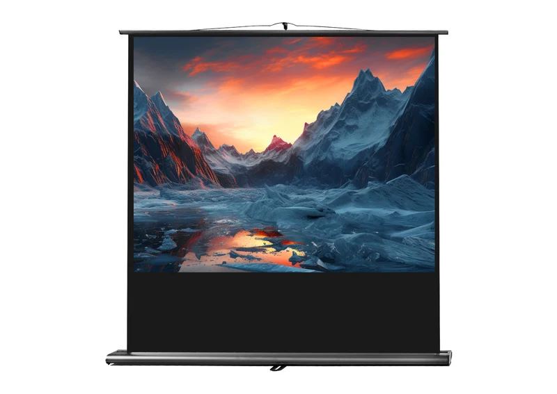 celexon Leinwand Ultramobil Professional