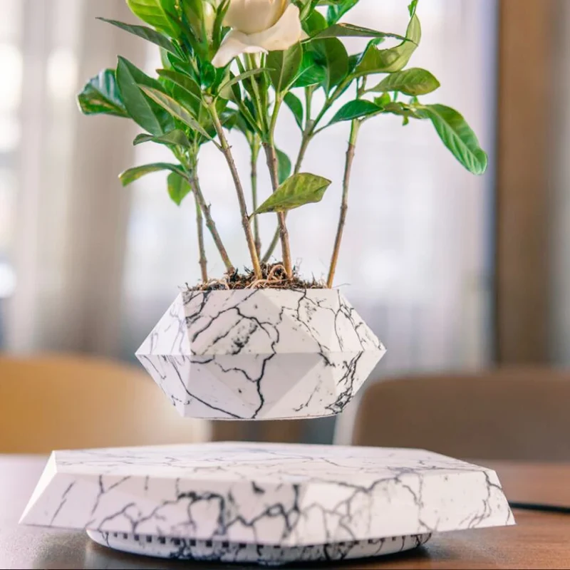 Skybotanic™ Levitating Plant Pot
