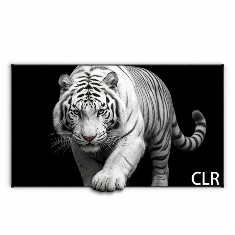 100"-150‘’ Wupro Cinema Gallery Evo UST2 CBSP CLR Fixed Frame Projector Screen For UST projector